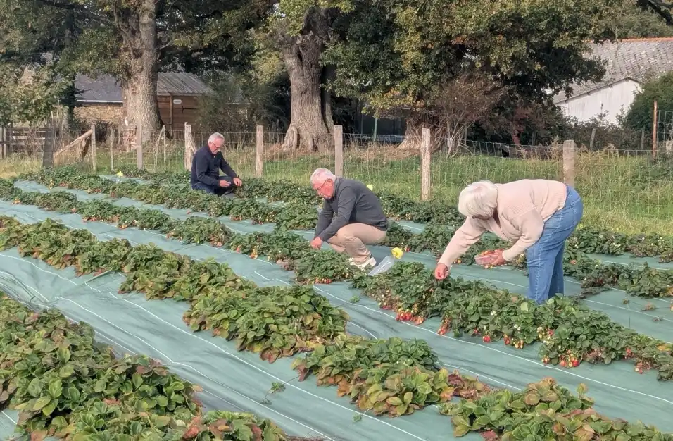 img-contenu (5) Large